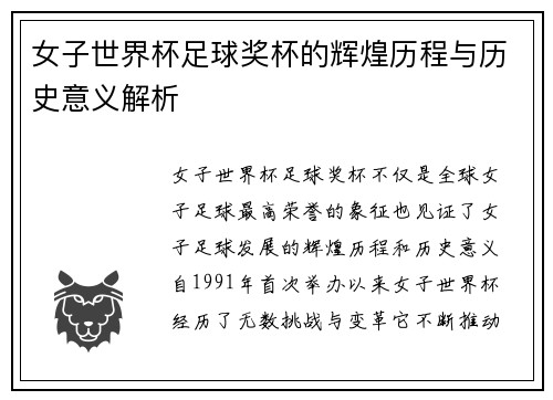 女子世界杯足球奖杯的辉煌历程与历史意义解析